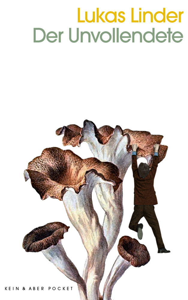 Der Unvollendete (Lukas Linder)