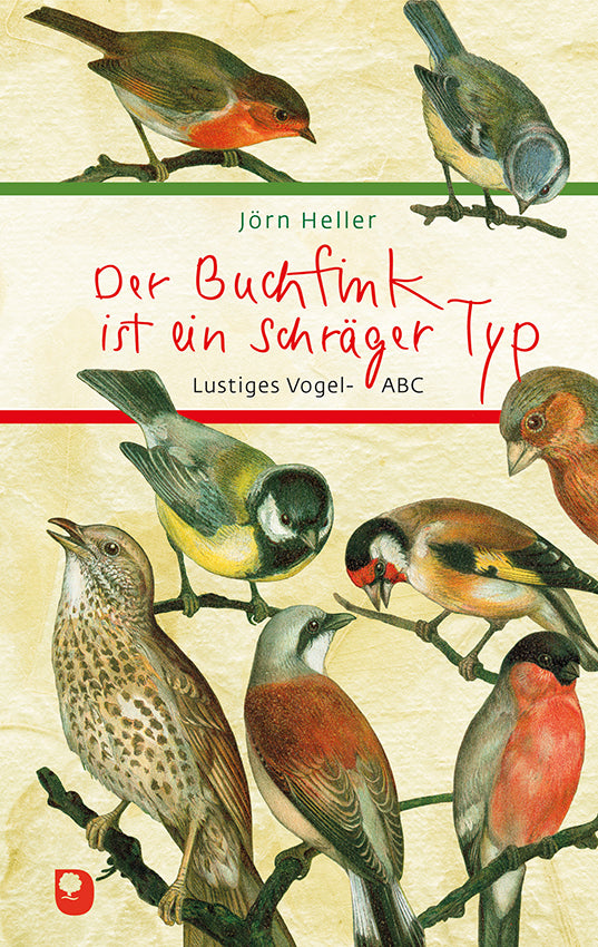 Der Buchfink ist ein schräger Typ (Jörn Heller)