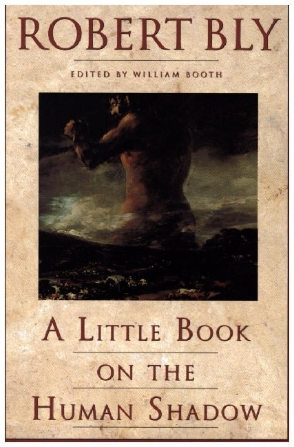A Little Book on the Human Shadow (Robert Bly)
