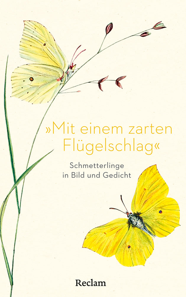 "Mit einem zarten Flügelschlag" (Eberhard Scholing)