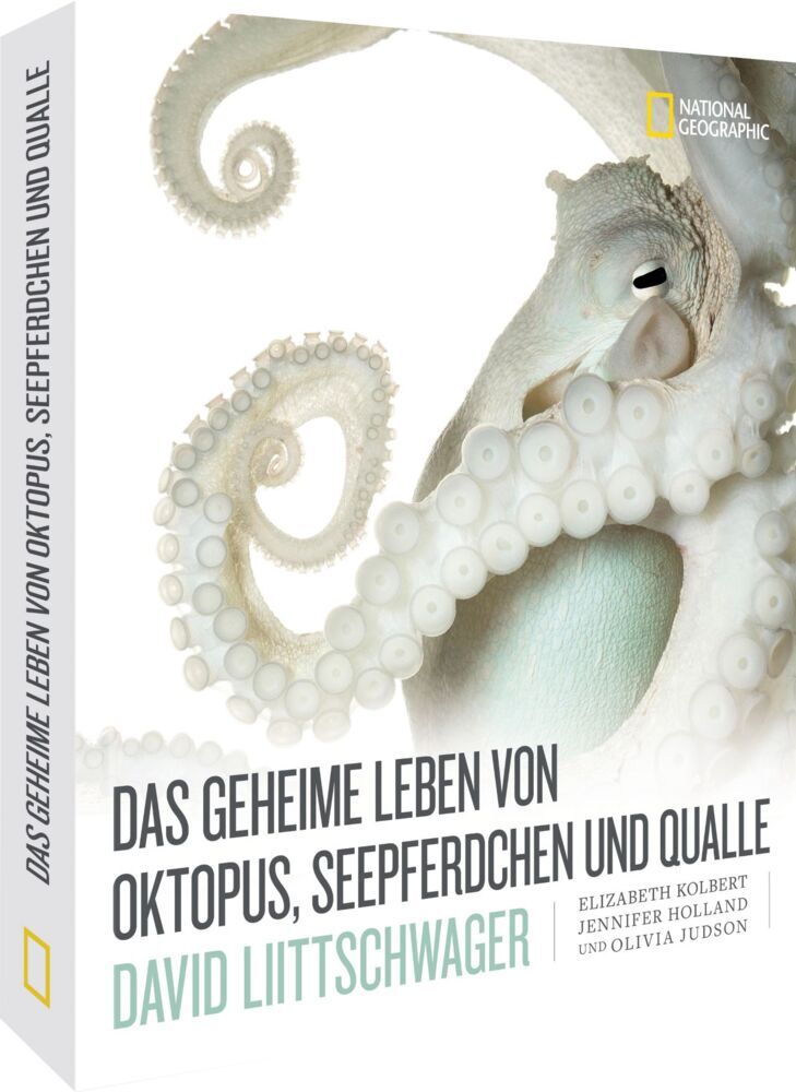 Das geheime Leben von Oktopus, Seepferdchen und Qualle (David Liittschwager)