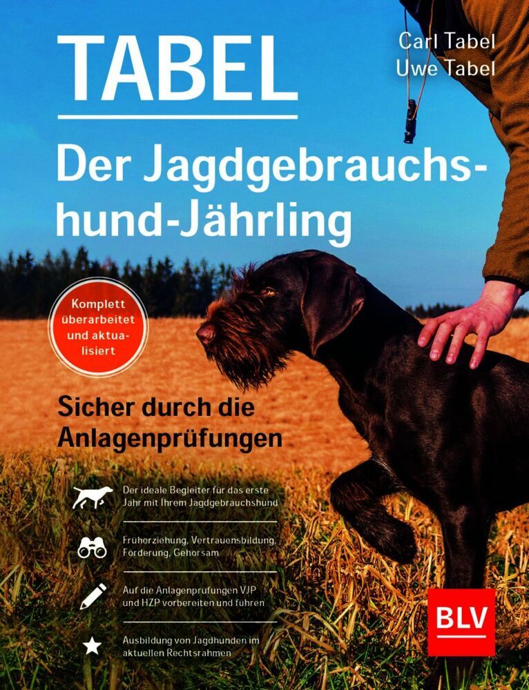 Der Jagdgebrauchshund-Jährling (Uwe Tabel)