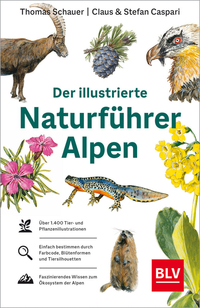 Der illustrierte Naturführer Alpen (Stefan Caspari)