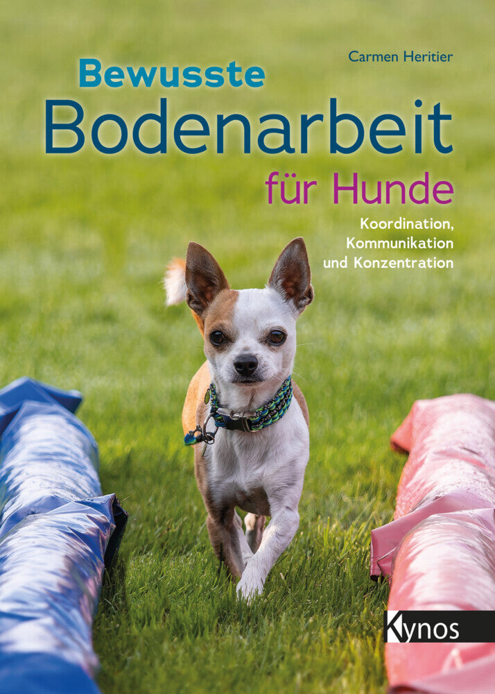 Bewusste Bodenarbeit für Hunde (Carmen Heritier)