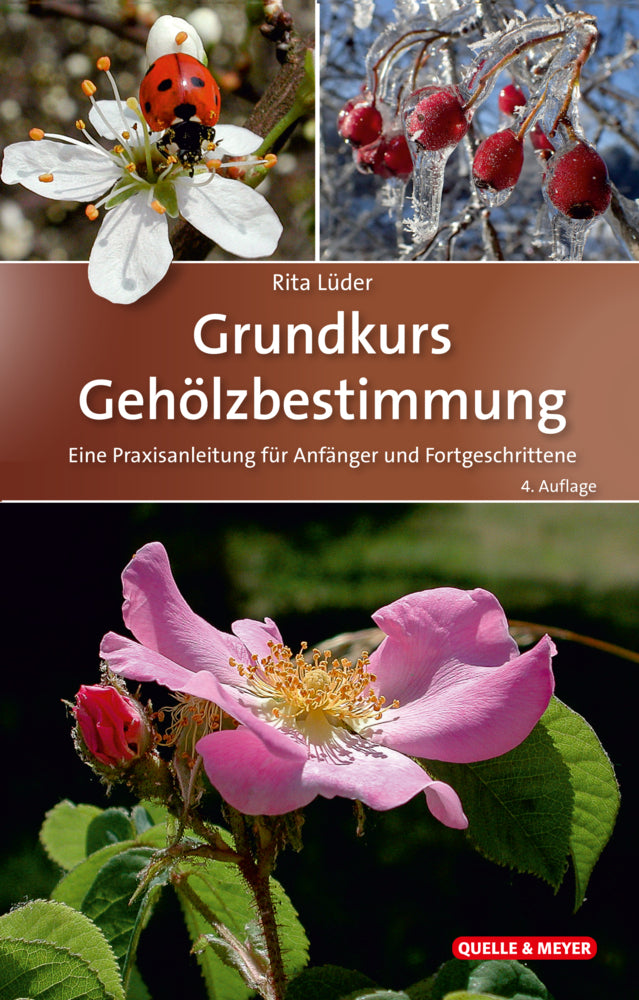Grundkurs Gehölzbestimmung (Rita Lüder)