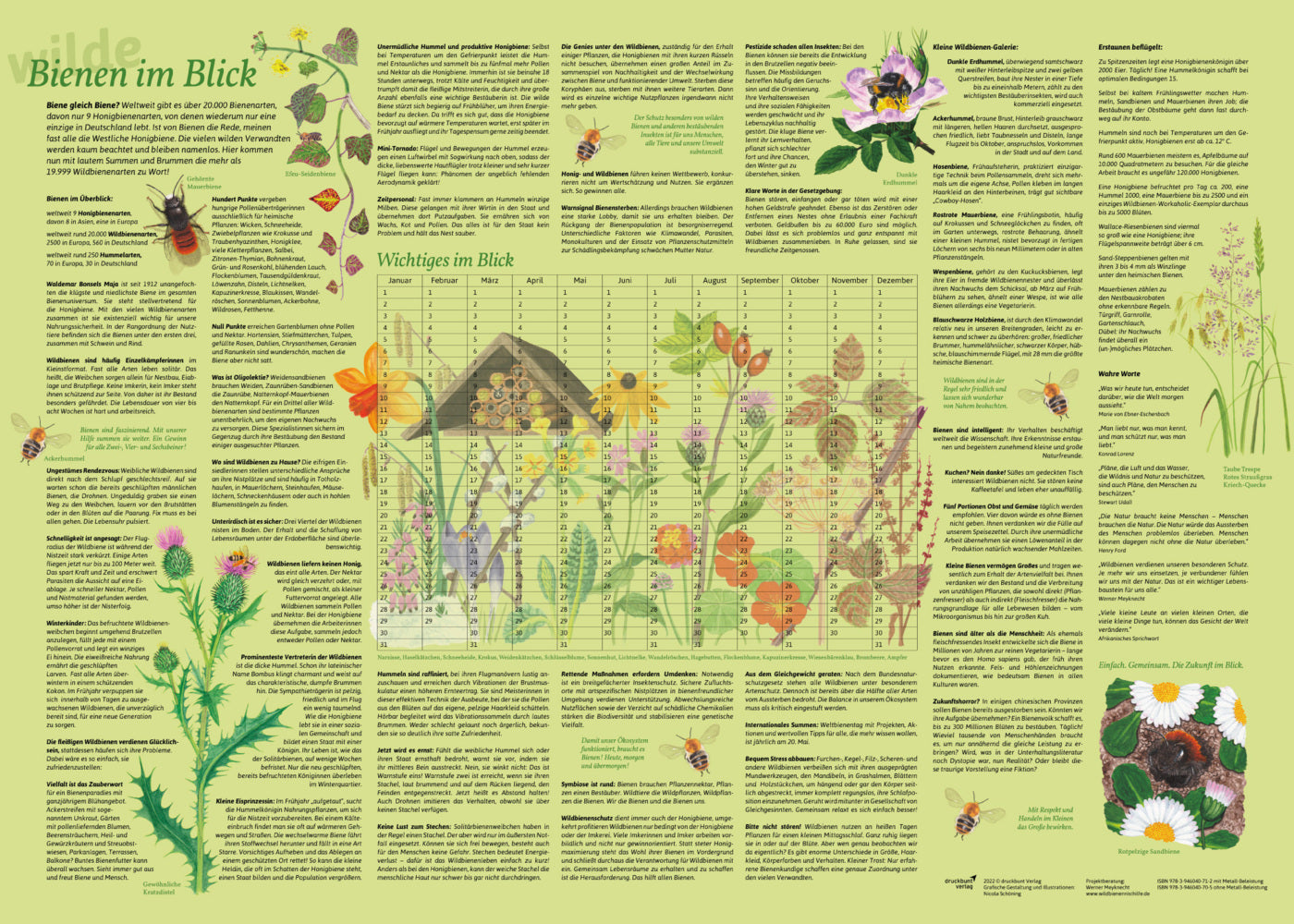 Erlebnisposter "Bienen im Blick" (Doris Schönhoff)