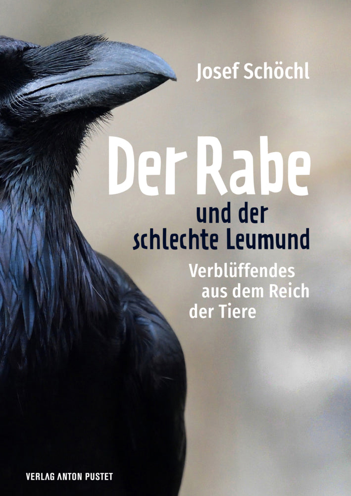 Der Rabe und der schlechte Leumund (Josef Schöchl)