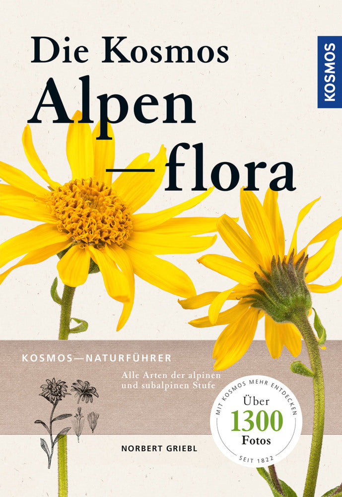 Kosmos Alpenflora (Norbert Griebl)
