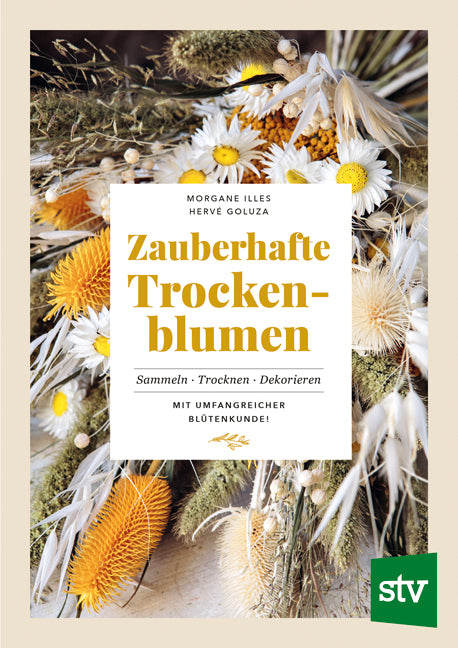 Zauberhafte Trockenblumen (Morgane Illes)