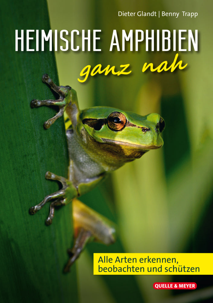Heimische Amphibien ganz nah (Dieter Glandt)