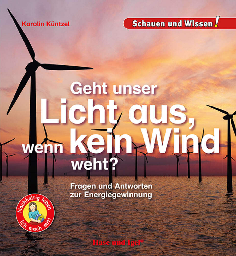 Geht unser Licht aus, wenn kein Wind weht? (Karolin Küntzel)