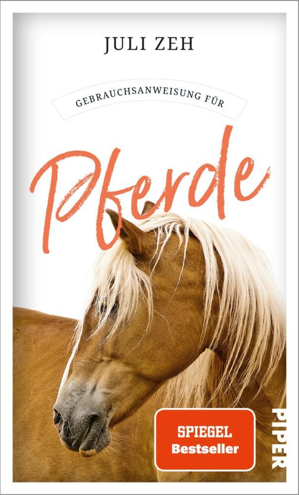 Gebrauchsanweisung für Pferde (Juli Zeh)