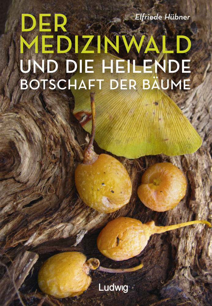 Der Medizinwald und die heilende Botschaft der Bäume. (Elfriede Hübner)