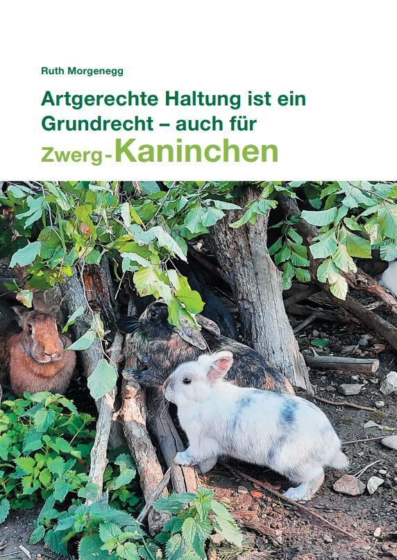 Artgerechte Haltung ist ein Grundrecht - auch für (Zwerg-) Kaninchen (Ruth Morgenegg)