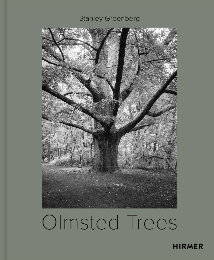 Olmsted Trees (Tom Avermaete)