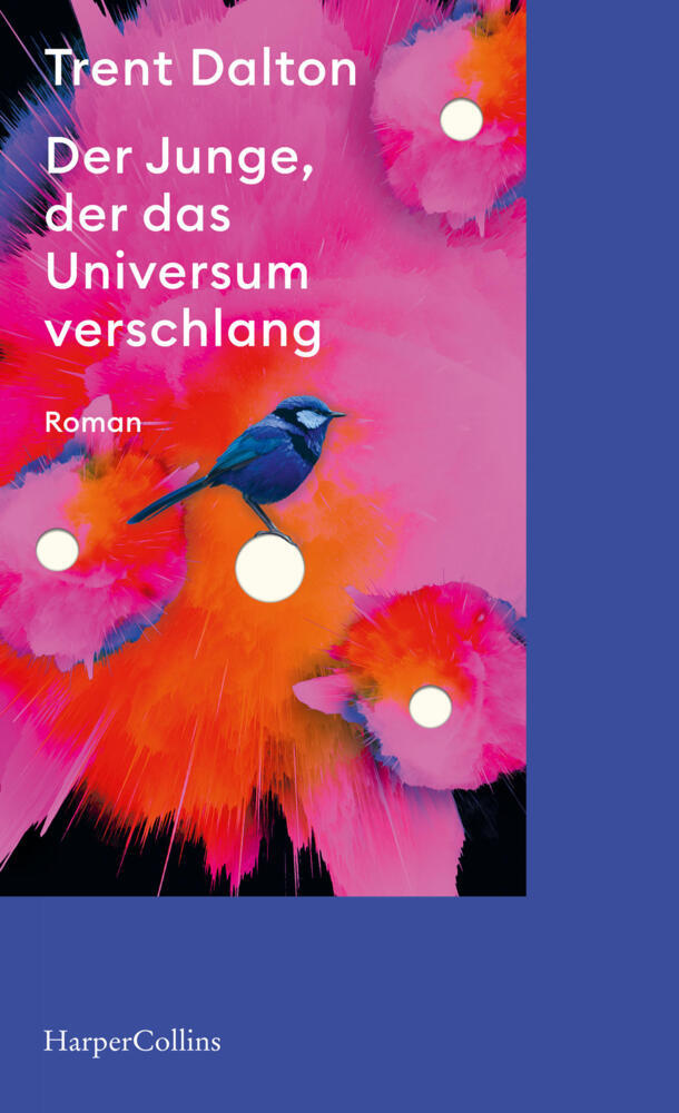 Der Junge, der das Universum verschlang (Trent Dalton)