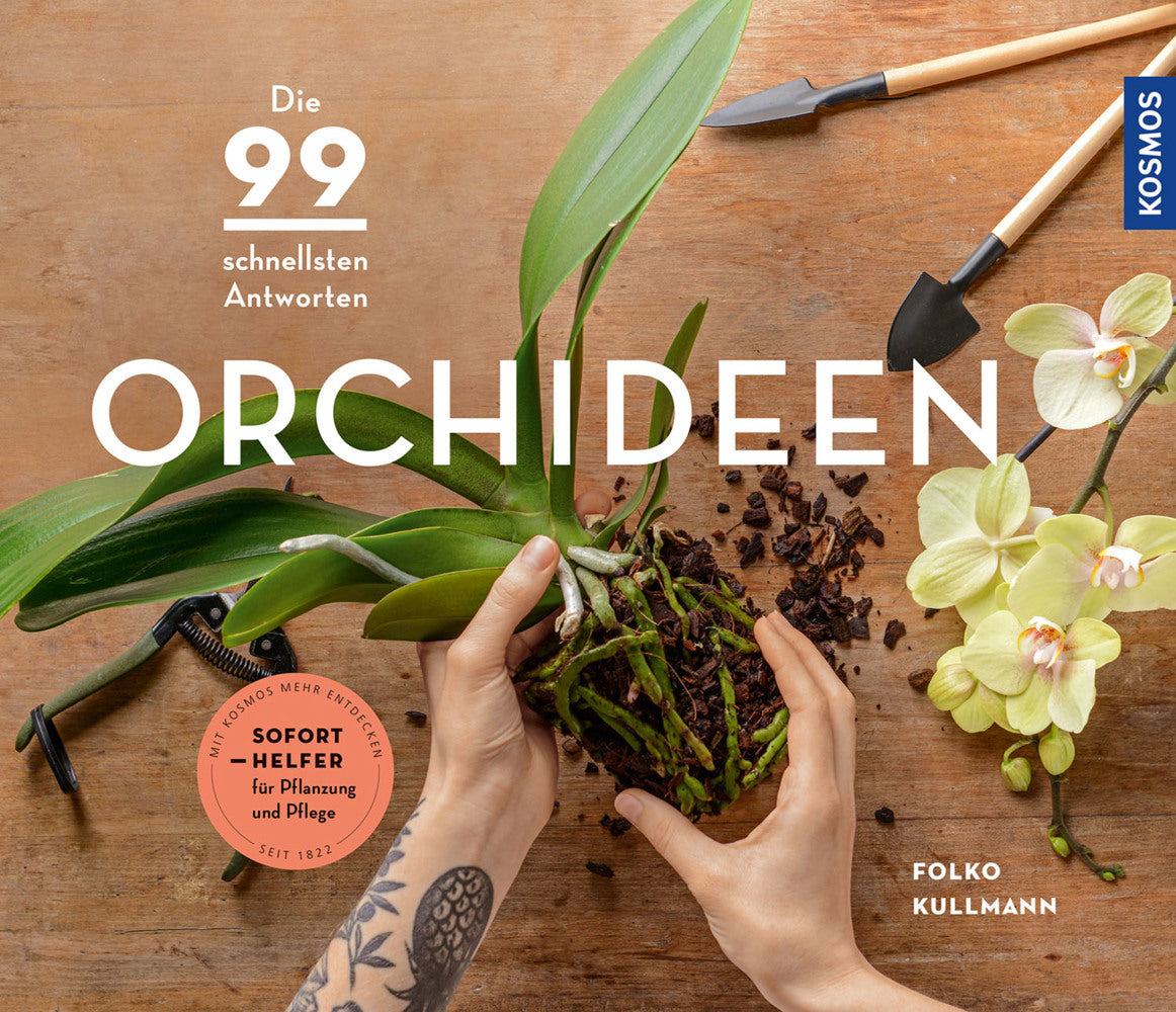 Orchideen (Folko Kullmann)