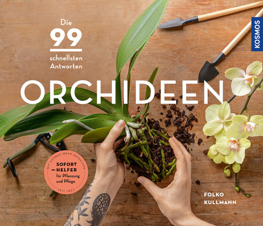 Orchideen (Folko Kullmann)