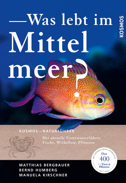 Was lebt im Mittelmeer? (Matthias Bergbauer)