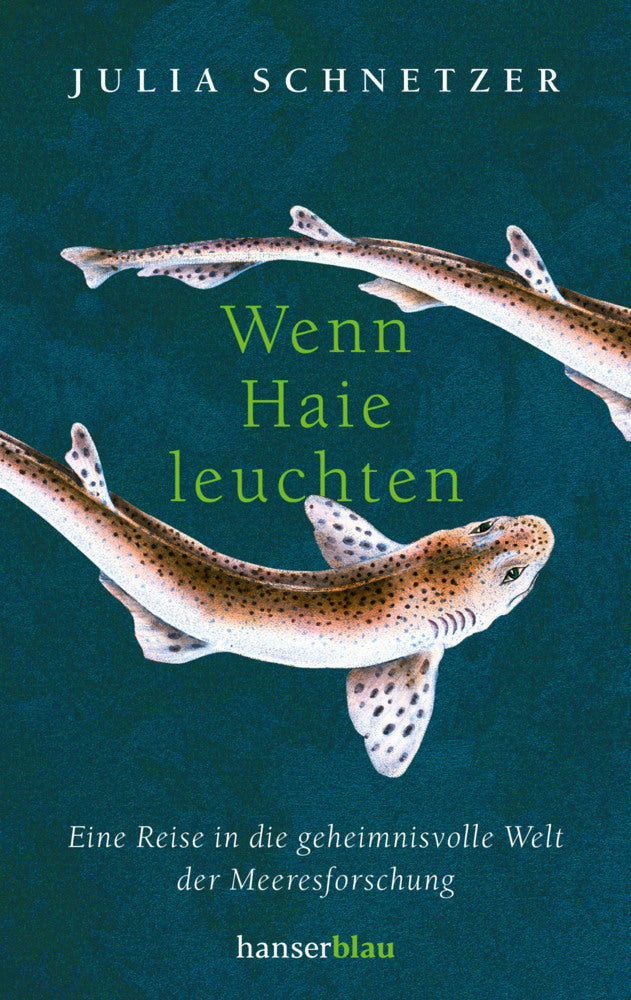 Wenn Haie leuchten (Julia Schnetzer)