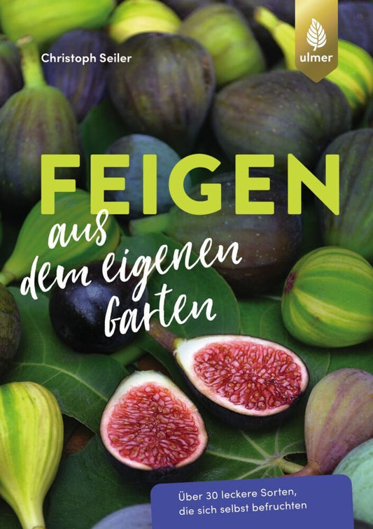 Feigen aus dem eigenen Garten (Christoph Seiler)