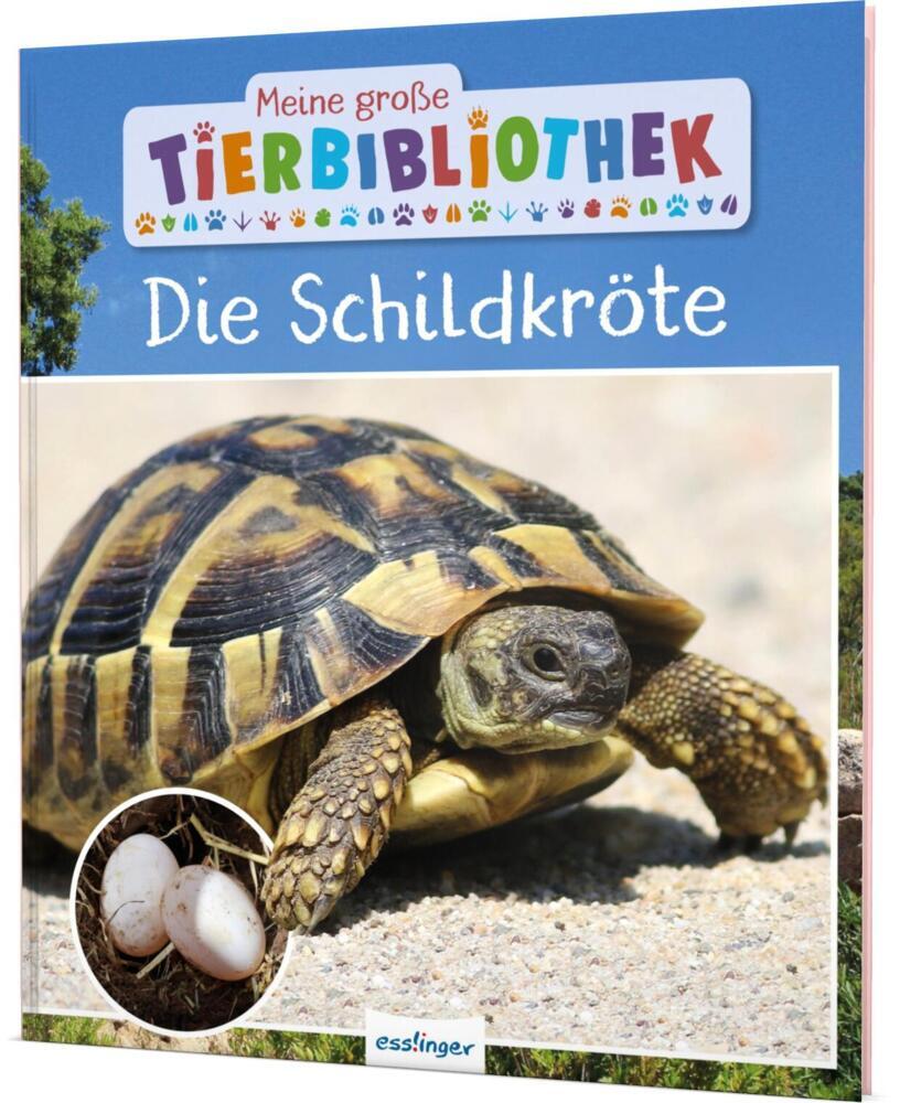 Meine große Tierbibliothek: Die Schildkröte (Axel Gutjahr)