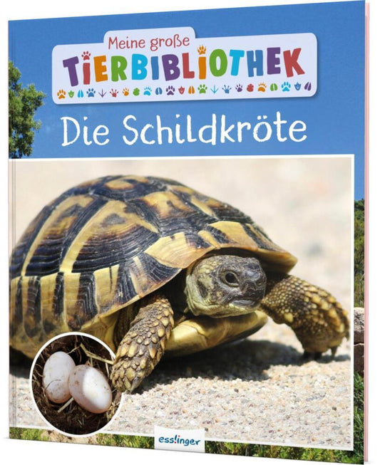 Meine große Tierbibliothek: Die Schildkröte (Axel Gutjahr)