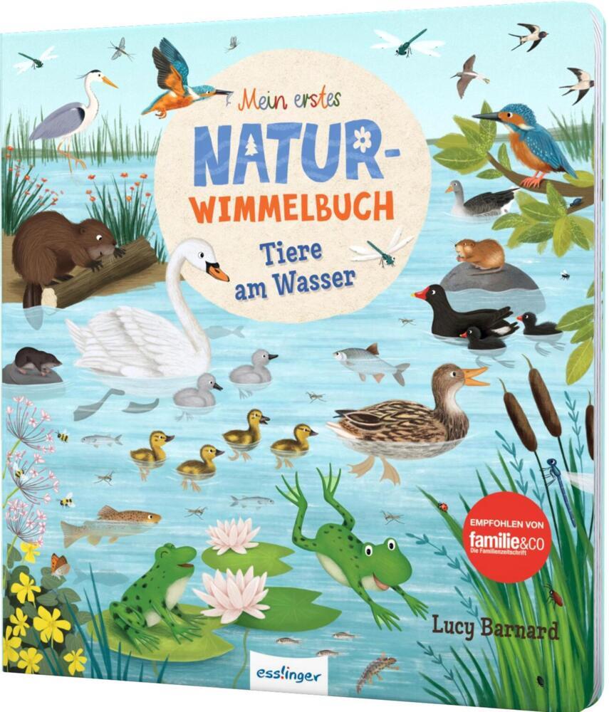 Mein erstes Natur-Wimmelbuch: Tiere am Wasser (Sibylle Schumann)