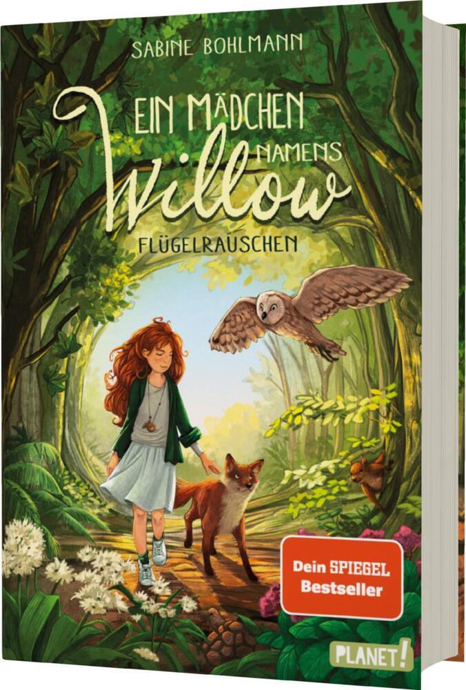 Ein Mädchen namens Willow 3: Flügelrauschen (Sabine Bohlmann)