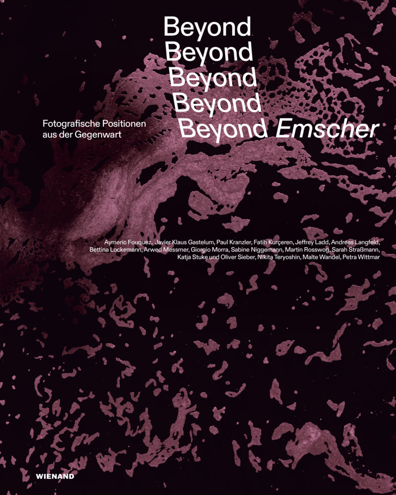 Beyond Emscher. Fotografische Positionen aus der Gegenwart (Heinrich-Theodor Grütter)