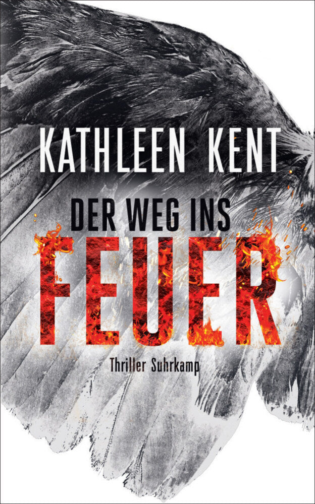 Der Weg ins Feuer (Kathleen Kent)