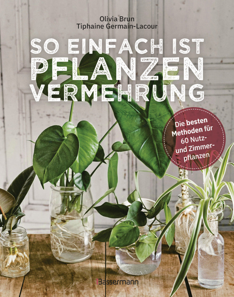So einfach ist Pflanzenvermehrung. Die besten Methoden für 60 Nutz- und Zimmerpflanzen. (Olivia Brun)