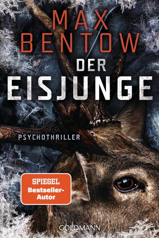 Der Eisjunge (Max Bentow)