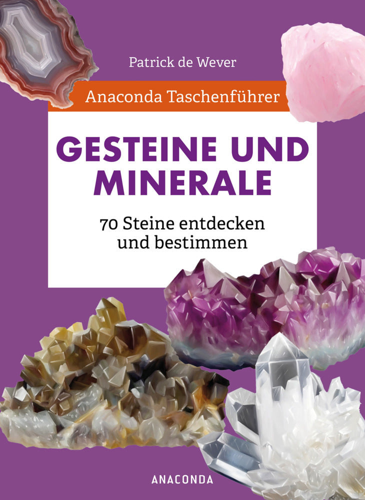 Anaconda Taschenführer Gesteine und Minerale. 70 Steine entdecken und bestimmen (Patrick De Wever)