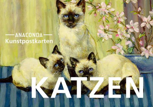 Postkarten-Set Katzen (Anaconda Verlag)