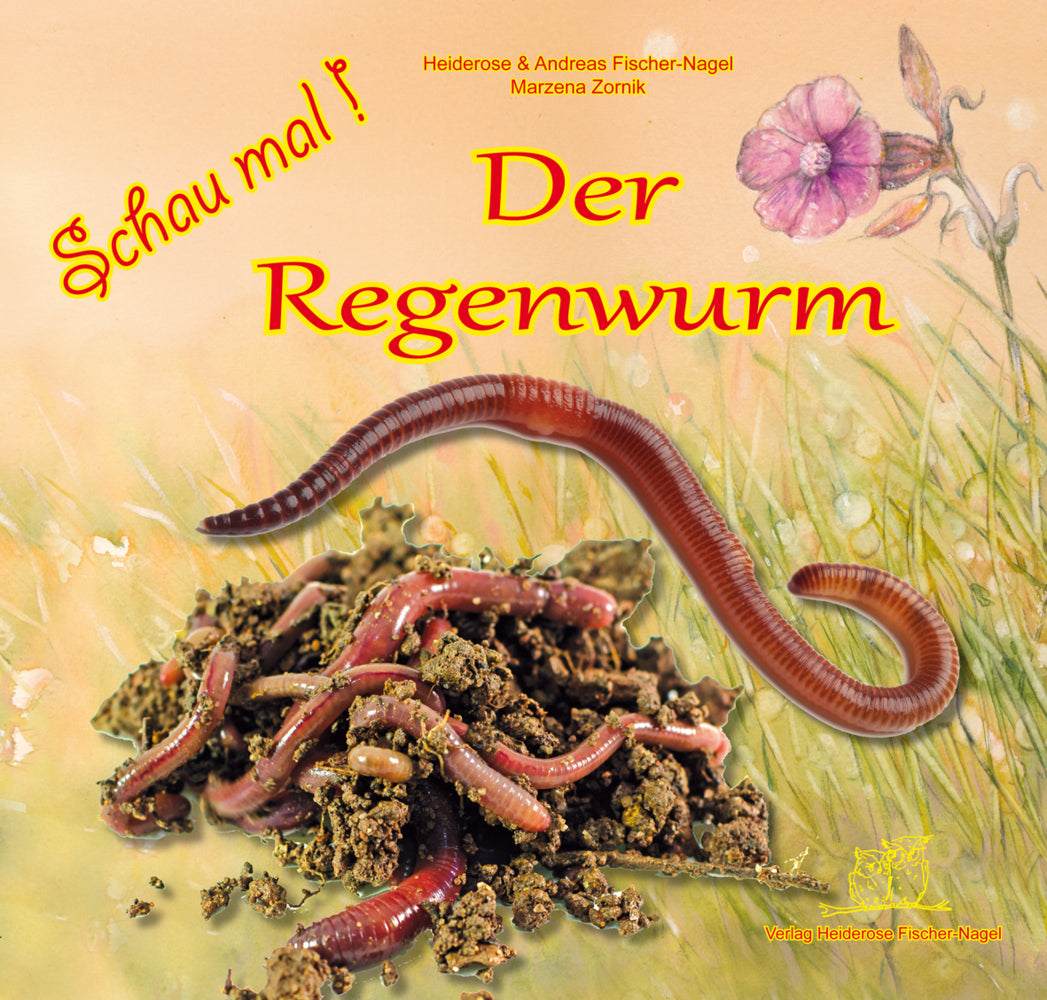 Schau mal ! / Schau mal! Der Regenwurm (Heiderose Fischer-Nagel)