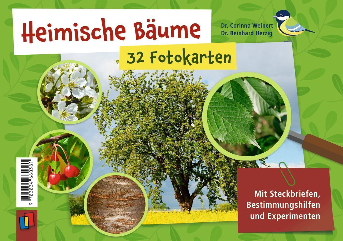 Heimische Bäume - 32 Fotokarten (Corinna Weinert)