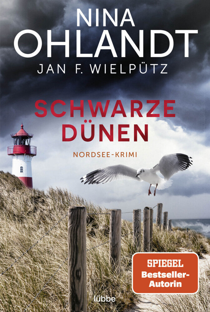 Schwarze Dünen (Nina Ohlandt)