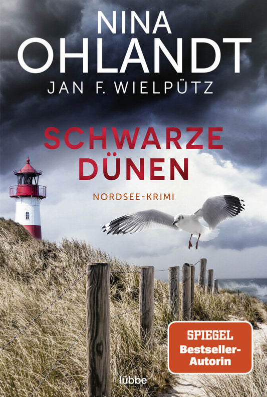 Schwarze Dünen (Nina Ohlandt)