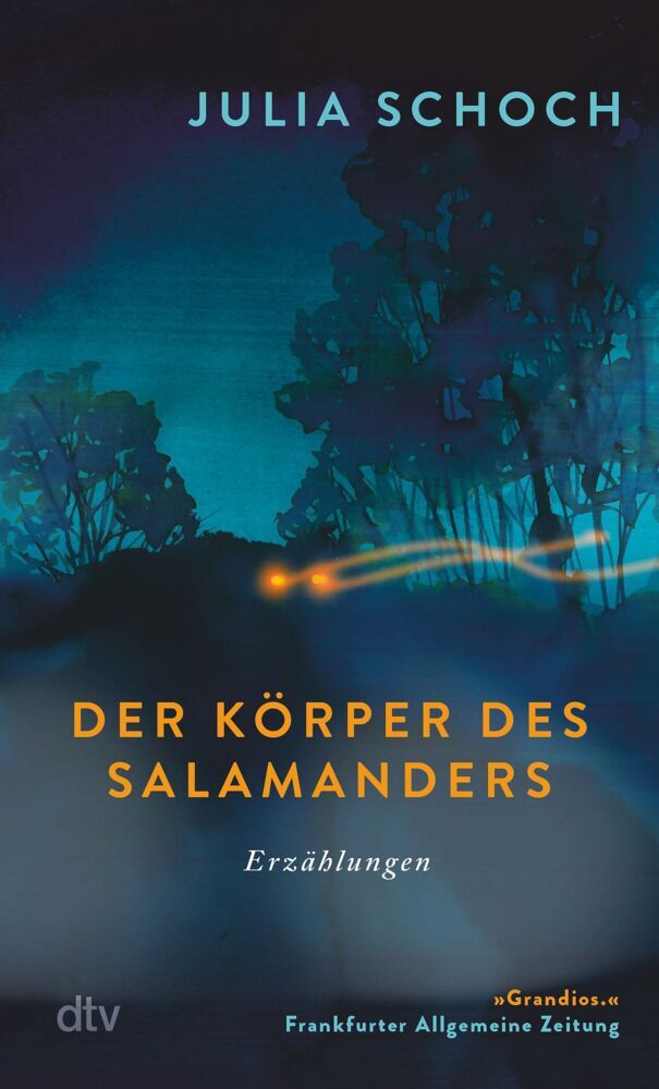 Der Körper des Salamanders (Julia Schoch)