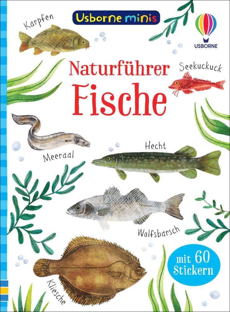 Usborne Minis Naturführer: Fische (Kate Nolan)