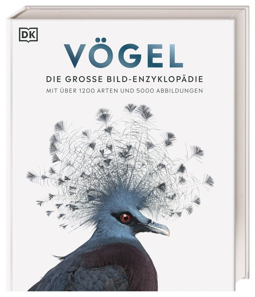 Vögel (Dk Verlag)