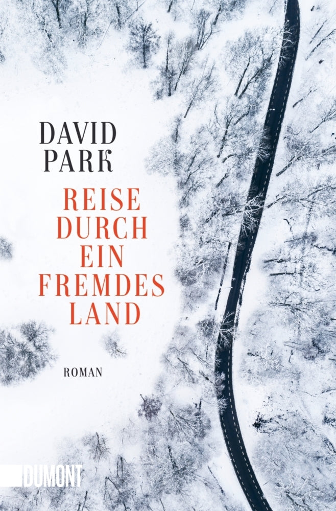 Reise durch ein fremdes Land (David Park)