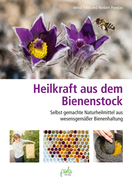 Heilkraft aus dem Bienenstock (Almut Tobis)