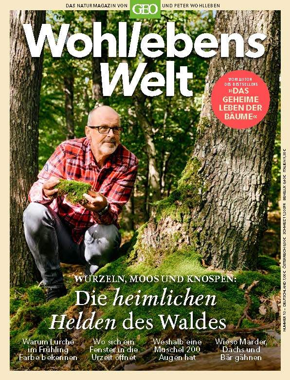 Wohllebens Welt / Wohllebens Welt 13/2022 - Die heimlichen Helden des Waldes (Peter Wohlleben)