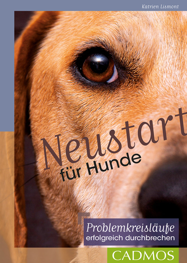 Neustart für Hunde (Katrien Lismont)