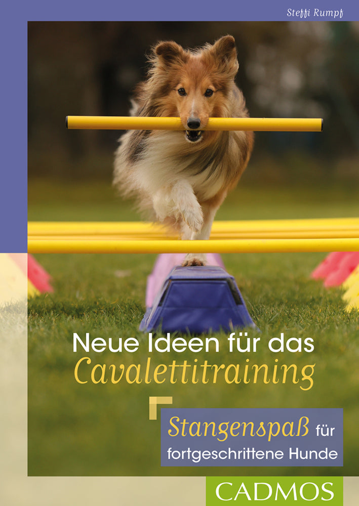 Neue Ideen für das Cavalettitraining (Steffi Rumpf)