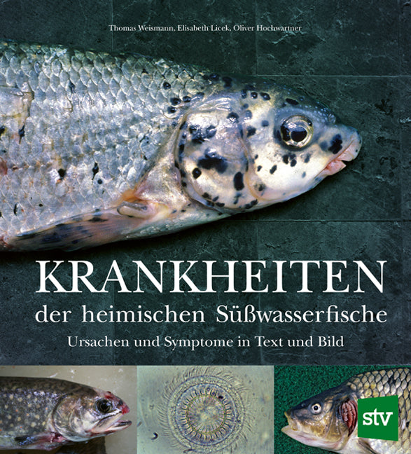 Krankheiten der heimischen Süßwasserfische (Thomas Weismann)
