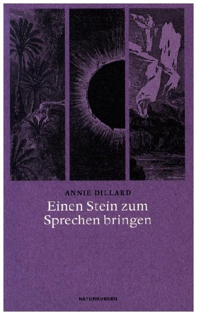Einen Stein zum Sprechen bringen (Annie Dillard)