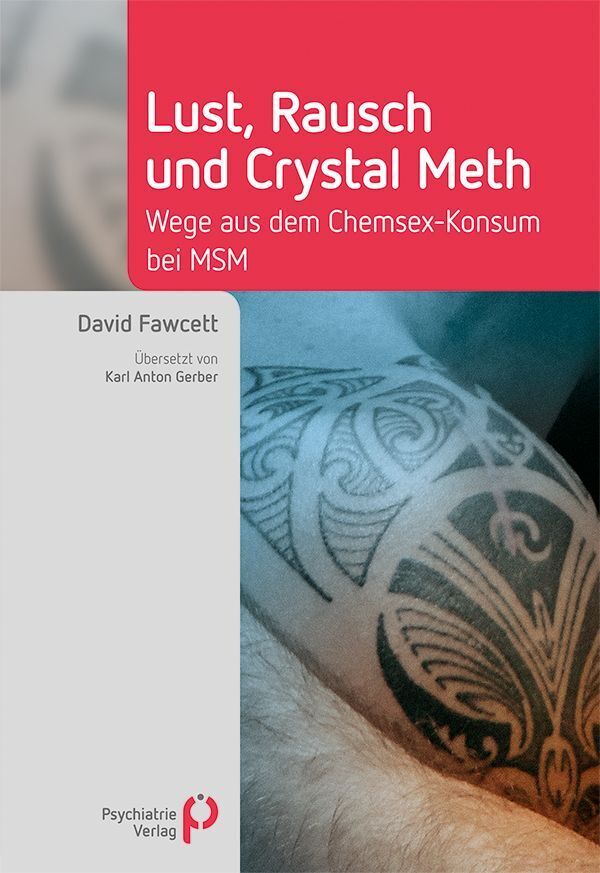 Lust, Rausch und Crystal Meth (David Fawcett)
